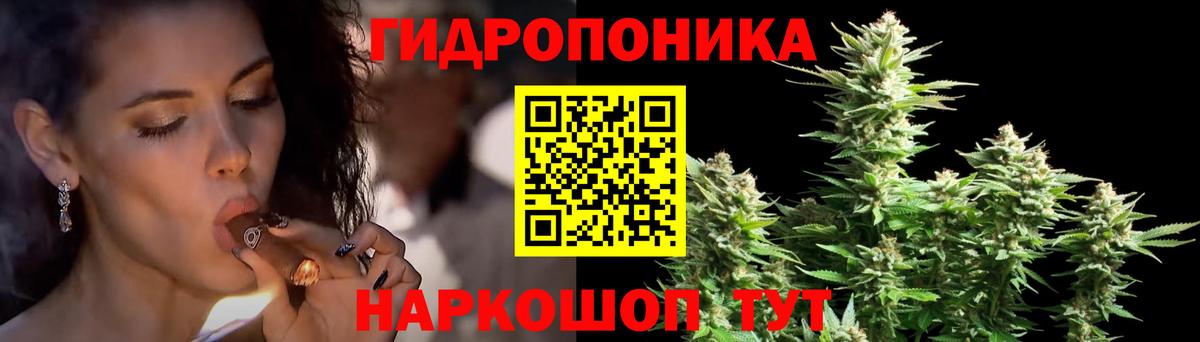Бошки Шишки Bruce Banner  МАРИХУАНА White Widow  Камышлов  Вход с VPN  Марихуана THC 21% 